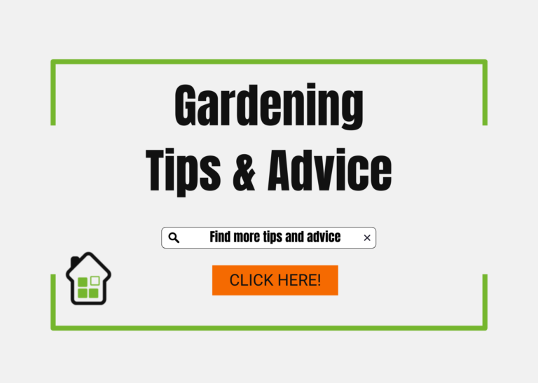 gardening-services-marbella